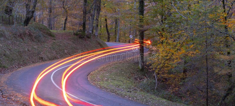 Car lights at night crossing in forest in autumn