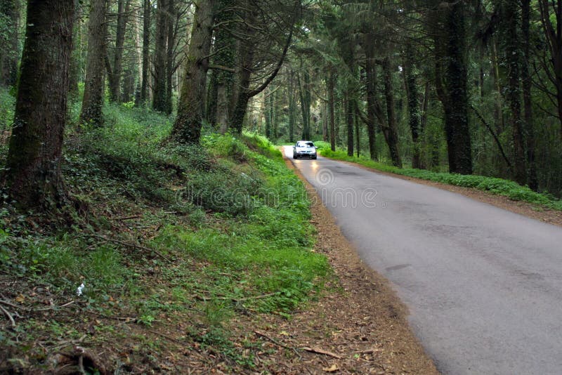 Car in the road in the magic forest os Sintra, a forest near Lisbon, Portugal. Car in the road in the magic forest os Sintra, a forest near Lisbon, Portugal