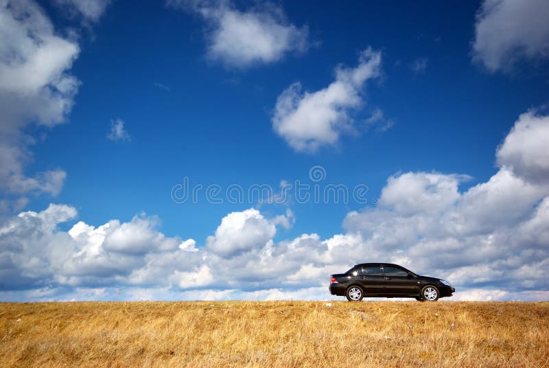 Negro auto sobre el prado.