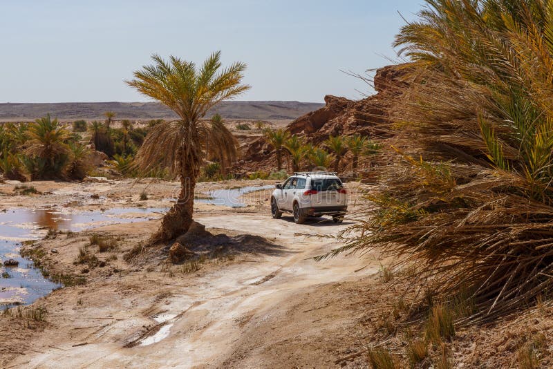 CAR on the OASIS in Morocco Stock Image Image of dunes, merzouga