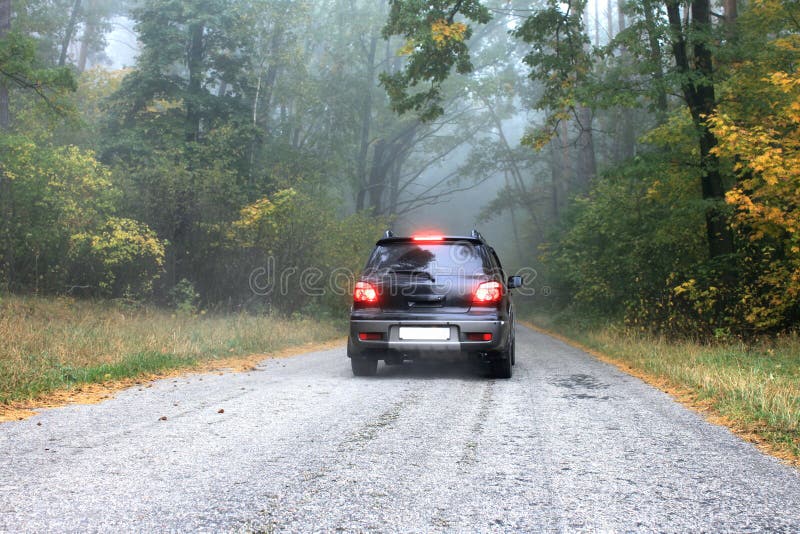 Car on a road in the forest