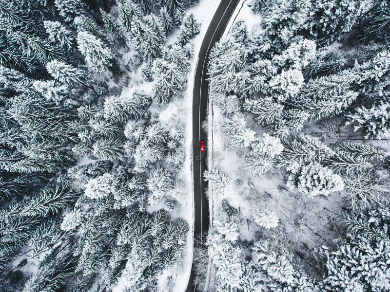 Car on road in winter trough a forest covered with snow