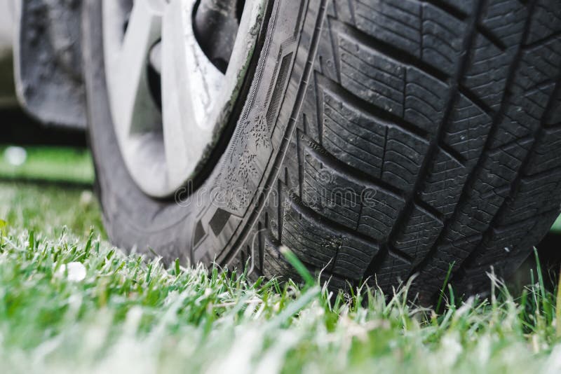 Car Tire on the Green Grass Stock Photo Image of ecological