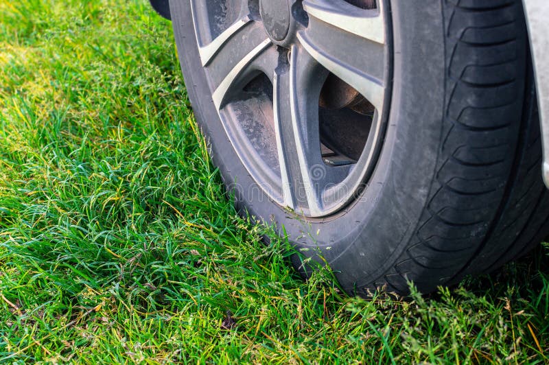 Car Tire Parked on a Green Lawn. Violation of the Rules of the Parking