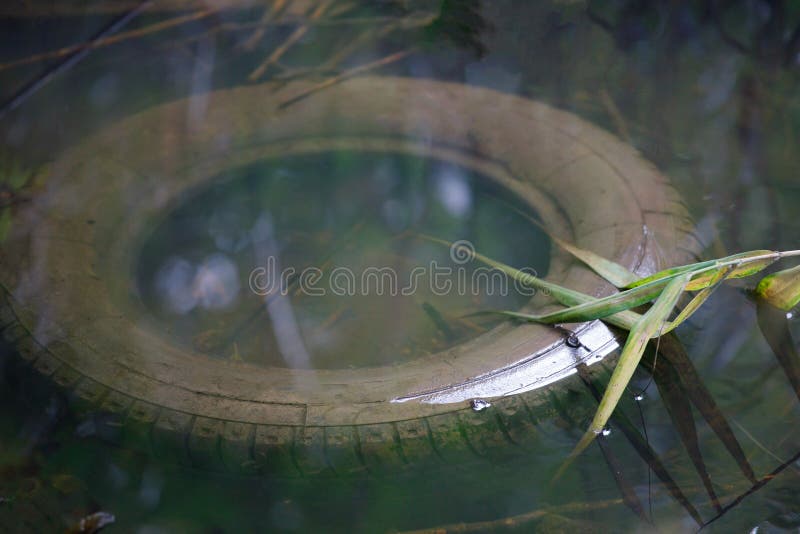 Car tire in the water. accident concept
