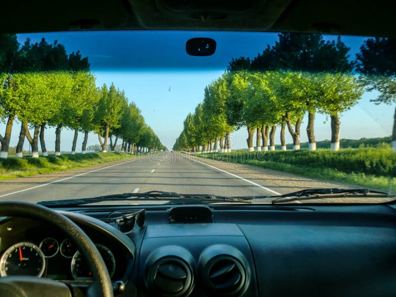 Car travel stock photo. Image of green, businessman, nature 92806078