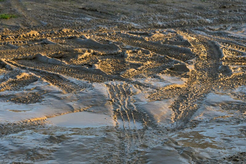 Car tyre tracks in fresh mud, highlighted by the cold light of a winter royalty free stock photography