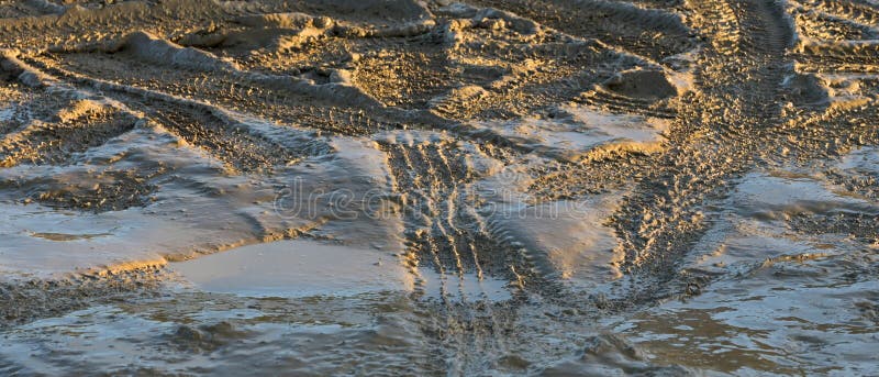Car tyre tracks in fresh mud, highlighted by the cold light of a winter evening stock photography
