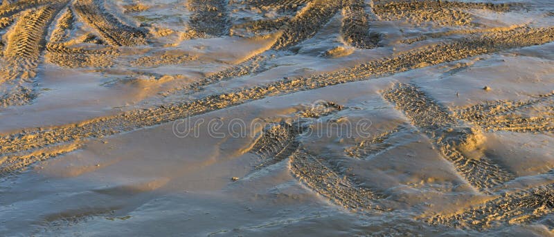 Car tyre tracks in fresh mud, highlighted by the cold light of a winter evening stock photography