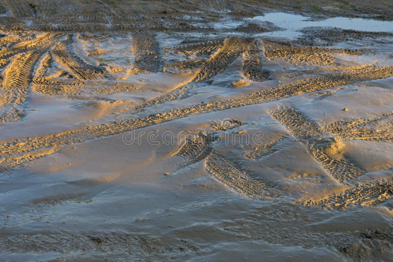 Car tyre tracks in fresh mud, highlighted by the cold light of a winter evening royalty free stock photography