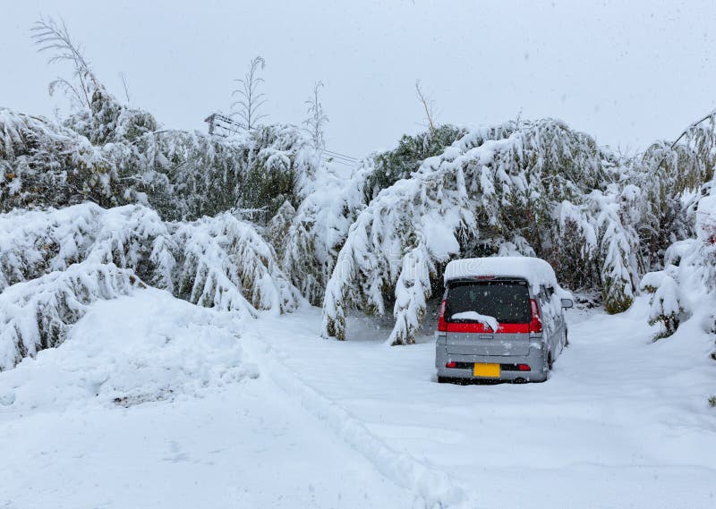 Car Under Snow, Natural Disasters Winter, Blizzard, Heavy Snow Paralyzed The City, Collapse