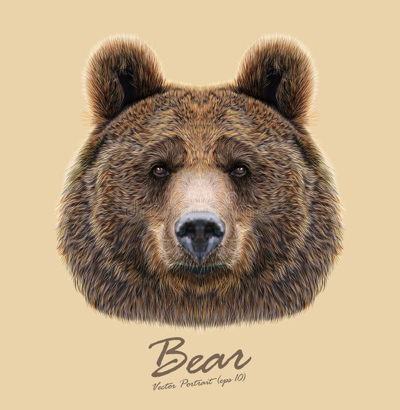 Cara animal do urso Retrato principal do urso marrom do urso Retrato realístico da pele do urso no fundo bronzeado
