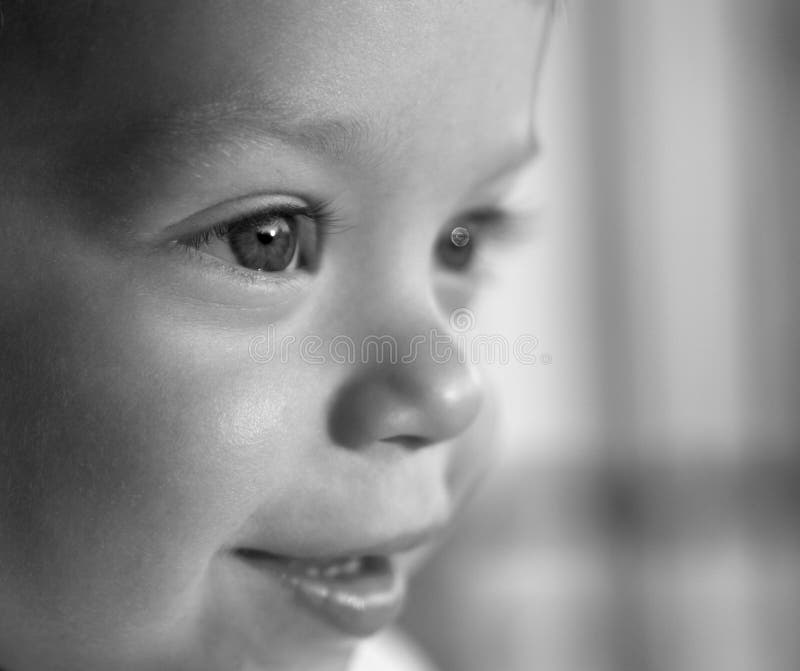Cara do bebê fotos de stock Cara do bebê fotos de stock