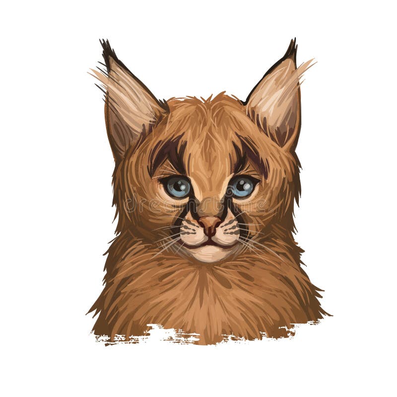 Caracal Baby Tabby, Wild Cat Isolated Digital Art Illustration. Wild Cat  from Africa, Middle East, Central Asia and India Stock Illustration -  Illustration of head, natural: 178424575