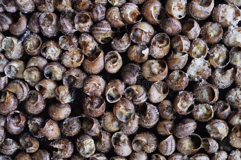 Caragols a La Llauna, Catalan Recipe of Snails Stock Photo - Image of ...