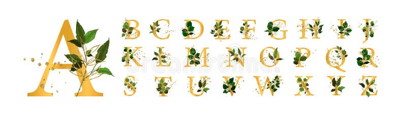 Gold floral alphabet font uppercase letters with flowers leaves and gold splatters for wedding invite card and logo. Vector illustration for greeting card template design. Gold floral alphabet font uppercase letters with flowers leaves and gold splatters for wedding invite card and logo. Vector illustration for greeting card template design