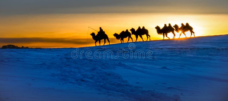As the sun sets, a camel team walks on a snowy mountain ridge. Under the backlight, the silhouette of the camel team is very clear, and the sun sometimes reveals dazzling stars through the gaps in the silhouette. As the sun sets, a camel team walks on a snowy mountain ridge. Under the backlight, the silhouette of the camel team is very clear, and the sun sometimes reveals dazzling stars through the gaps in the silhouette.