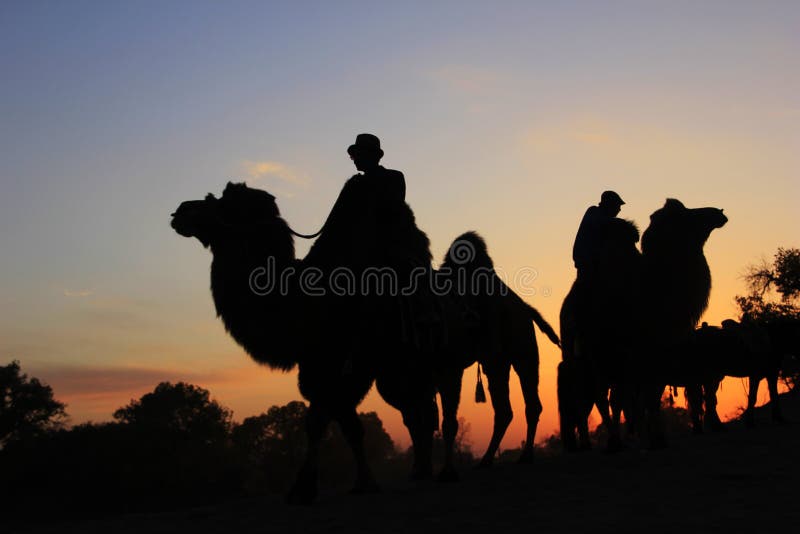 Caravana do camelo imagem de stock royalty free Caravana do camelo imagem de stock royalty free