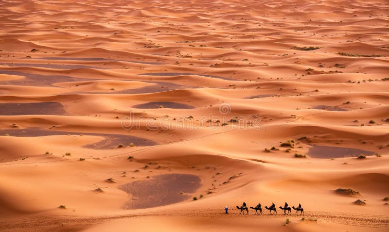 Caravana do camelo em Sahara Desert