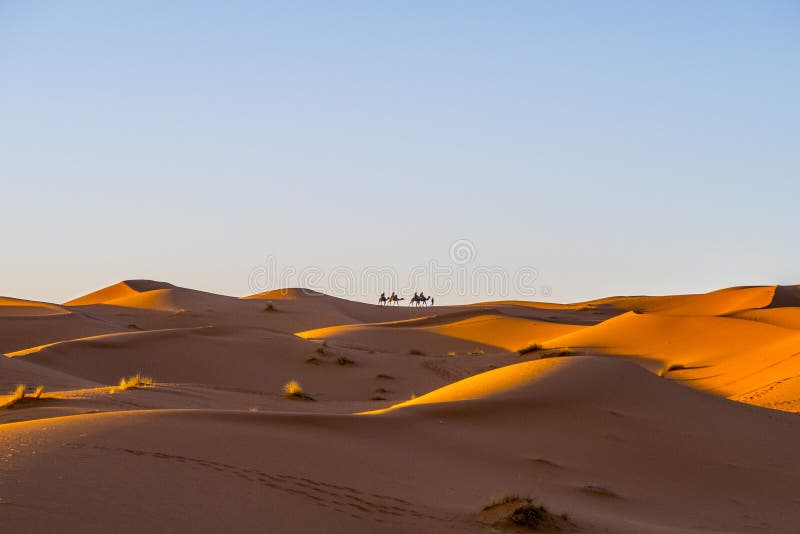 Caravane de chameau dans le désert de Sahara photographie stock libre de droits Caravane de chameau dans le désert de Sahara photographie stock libre de droits