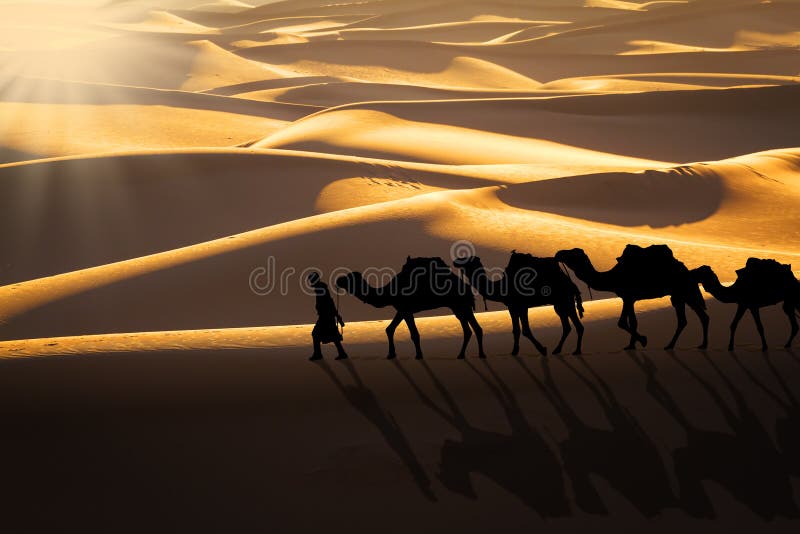 Caravane de désert