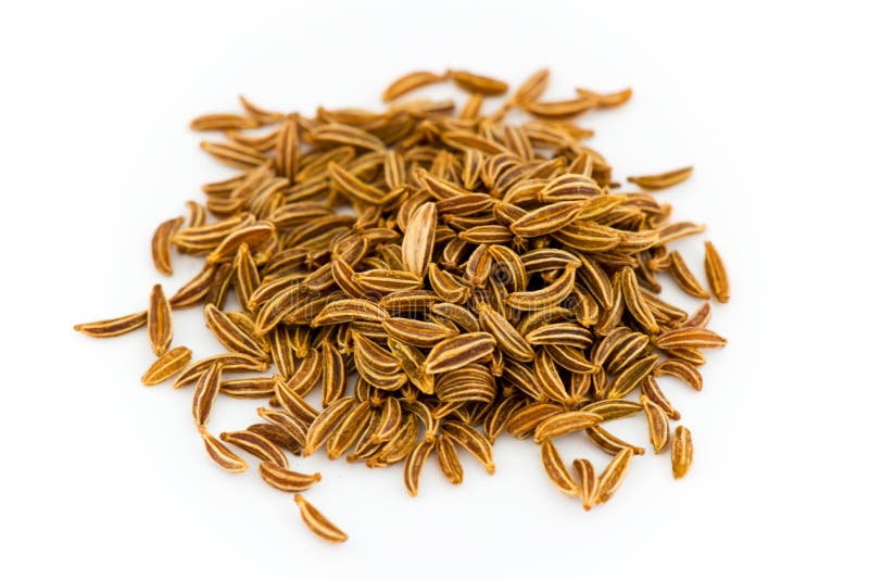 Fennel Seeds stock image. Image of stack, close, spice 9506803