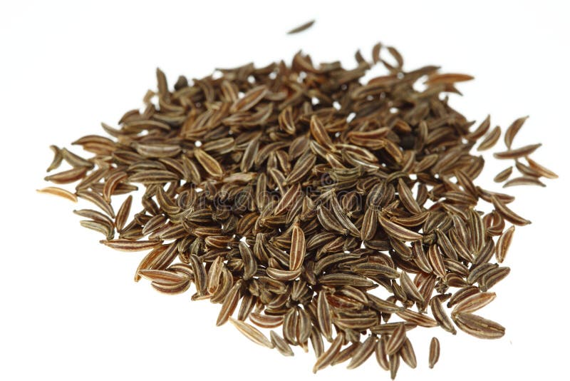 Caraway stock photo. Image of ingredient, caraway, flavor 20417810