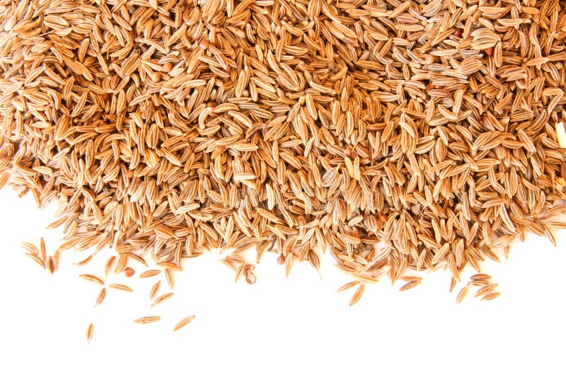 Caraway cumin seeds stock image. Image of seeds, flavour 3948169