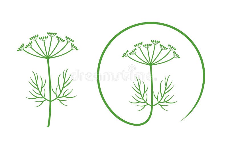 Caraway Logo Stock Illustrations 108 Caraway Logo Stock Illustrations