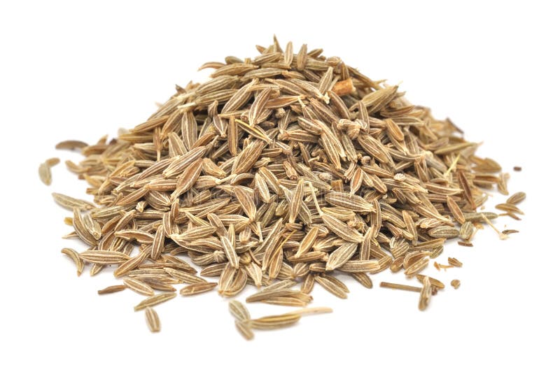 Caraway Seeds or Shahi Jeera or Black Cumin in White Bowl Stock Photo