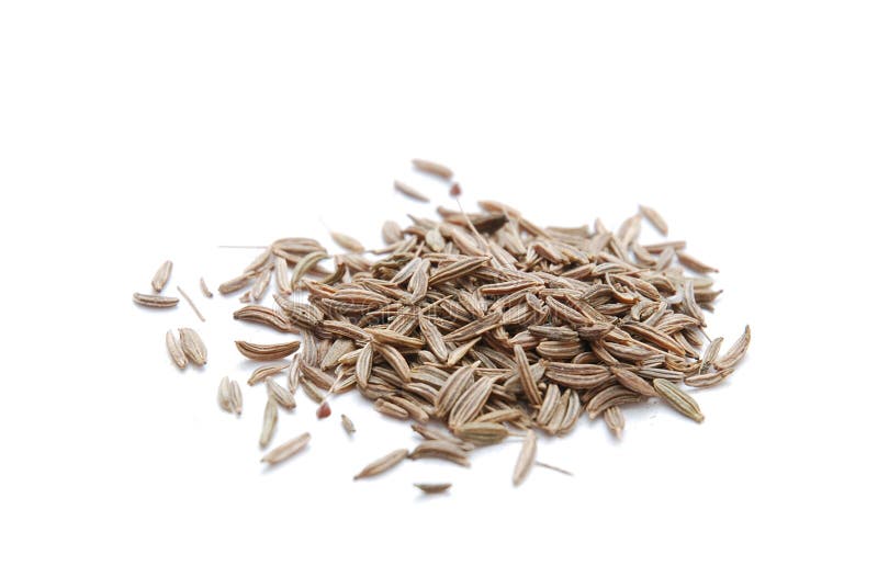 Caraway Seeds or Shahi Jeera or Black Cumin in White Bowl Stock Photo