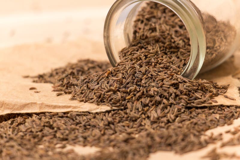 Caraway seeds stock image. Image of food, ingredient 60213947