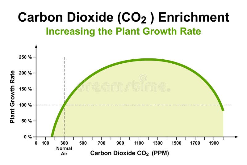 Carbon Dioxide (CO2) Enrichment, Effect on the Plant Growth Rate Stock