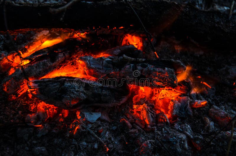 Carboni roventi nel fuoco fotografie stock Carboni roventi nel fuoco fotografie stock