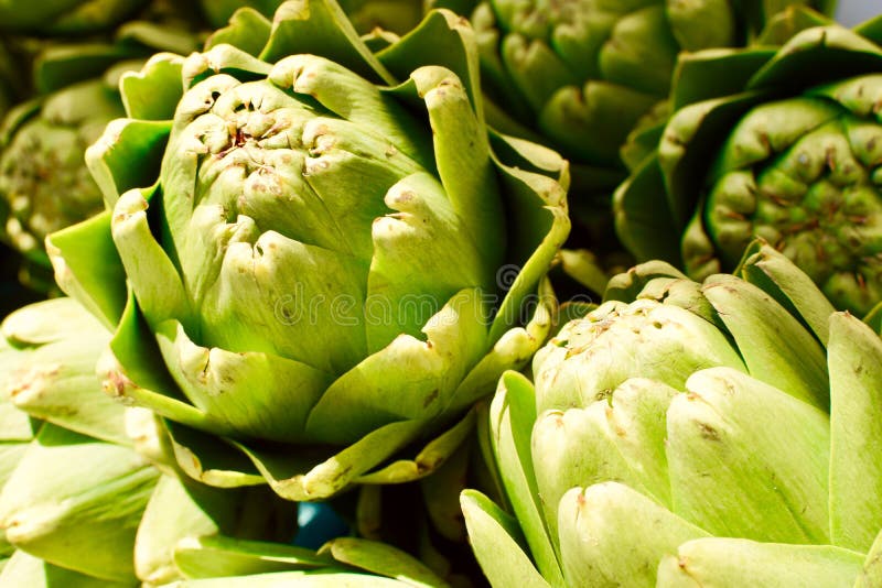 Carciofi freschi immagini stock libere da diritti Carciofi freschi immagini stock libere da diritti