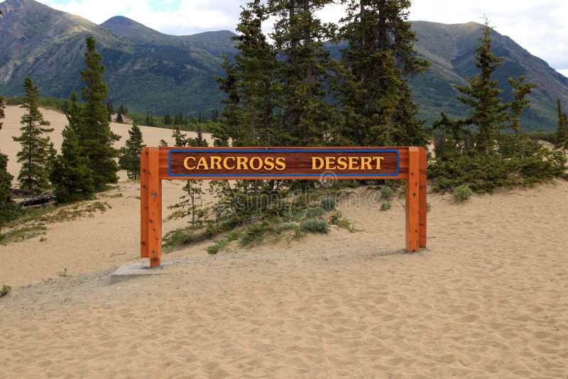 Carcross Desert, Carcross, Yukon, Canada Stock Image Image of