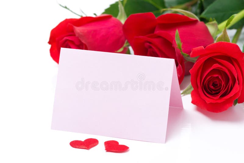 Card for congratulation and roses on a white background