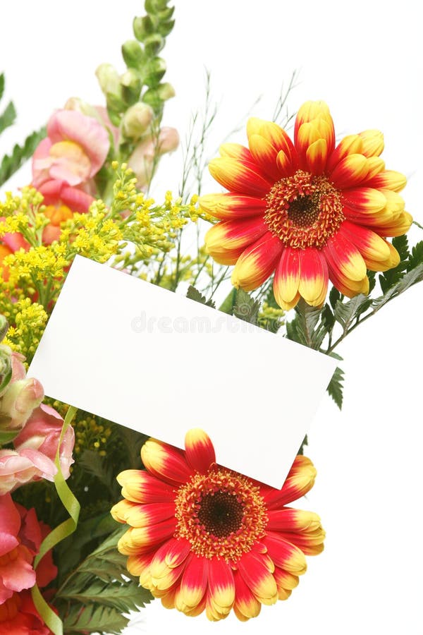 Card and flowers stock photo. Image of purple, advertising 5209748