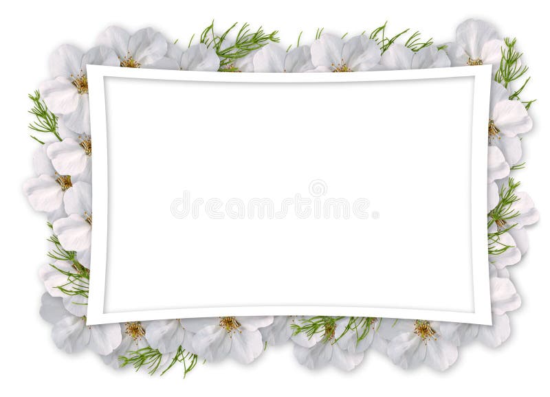 Card for invitation or congratulation with flowers