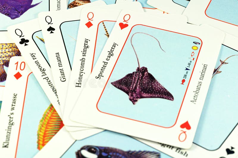 Card queens poker stock image. Image of quads, diamonds 20574161