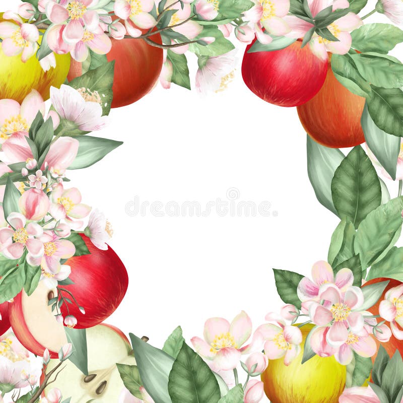 Card template, frame of blooming apple tree branches, flowers and red apples vector illustration