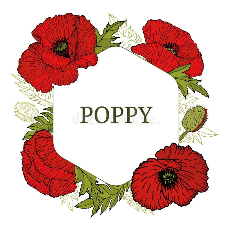 Card, template with hand drawn leaves, branch and flowers red poppy. stock illustration Card, template with hand drawn leaves, branch and flowers red poppy. stock illustration