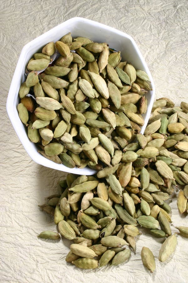 Cardamom stock photo. Image of food, asian, cooking, indian 1600940