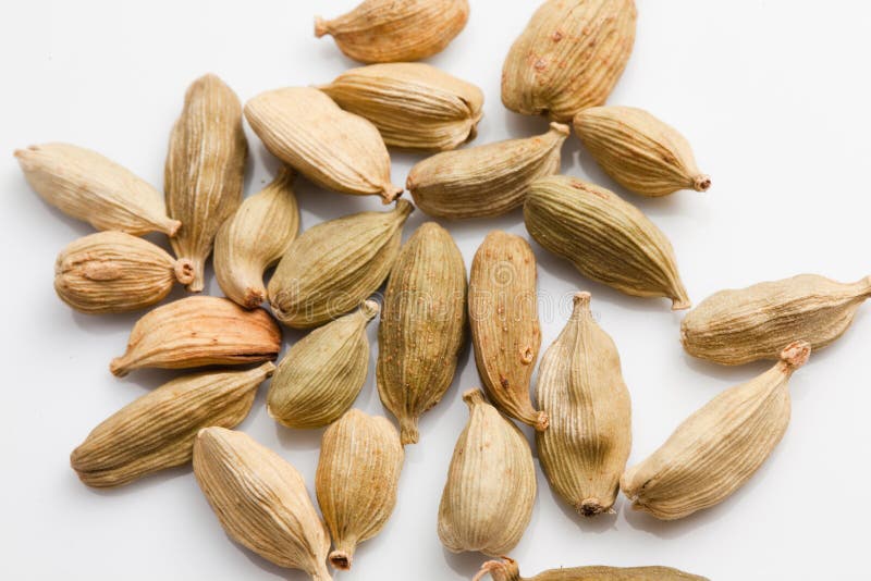 Cardamom stock photo. Image of flavoring, smell, cardamom 19684130