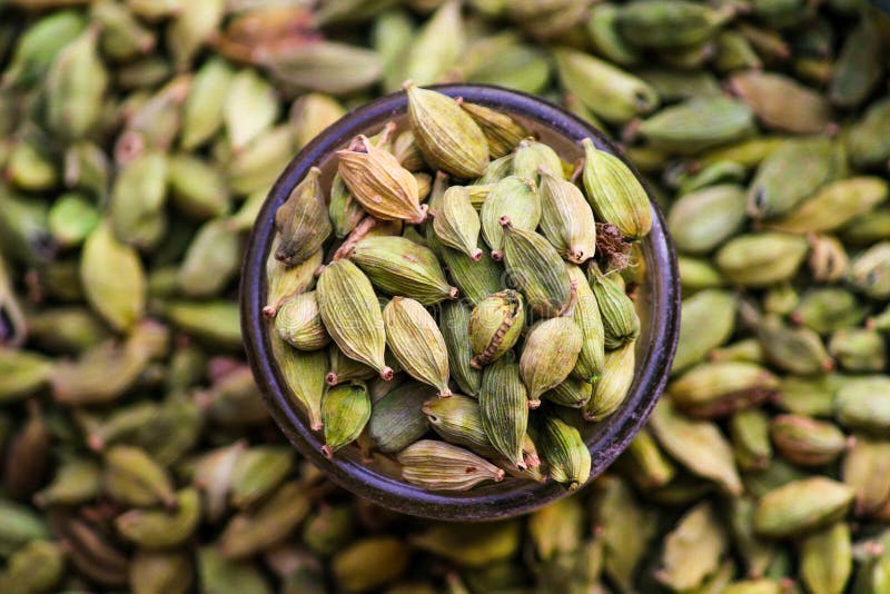 Cardamom stock photo. Image of spices, used, cardamom 115195580