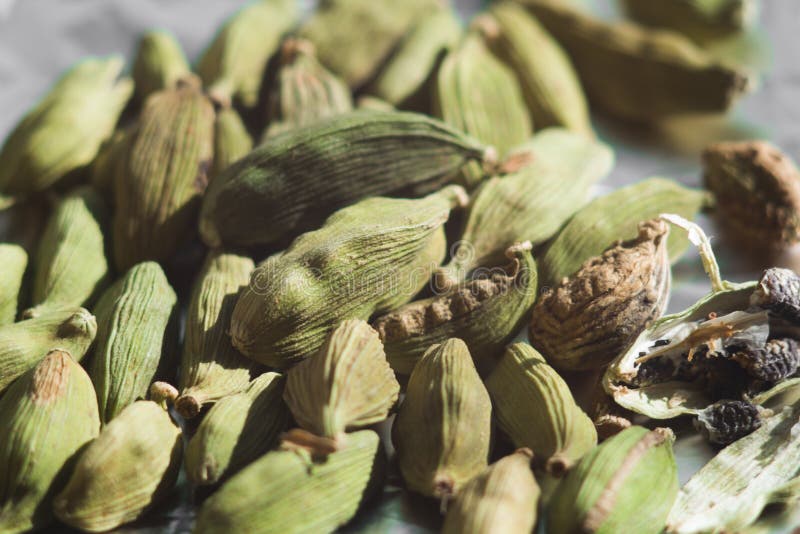 Ayurvedic Spice Coffee Chai Stock Photo Image of cardamom, shells