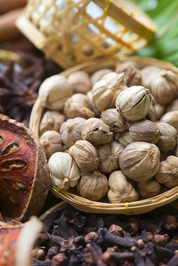 Cardamom, Clove And Bael Fruit Stock Image Image of caedamom, bengal
