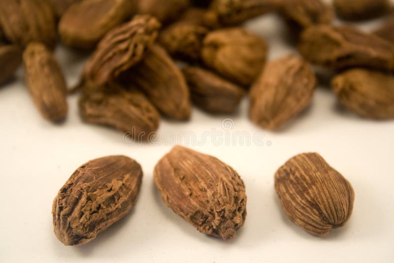 Cardamom seeds stock photo. Image of background, seed 21324642