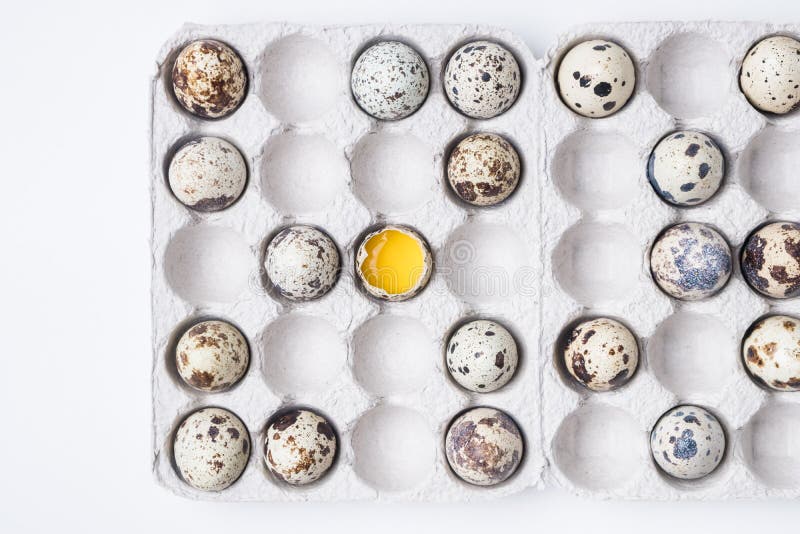 Cardboard Box with Quail Eggs on a White Table Stock Photo Image of