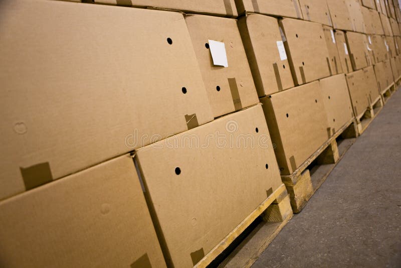 Cardboard Boxes in a Warehouse Stock Photo Image of logistics, rows